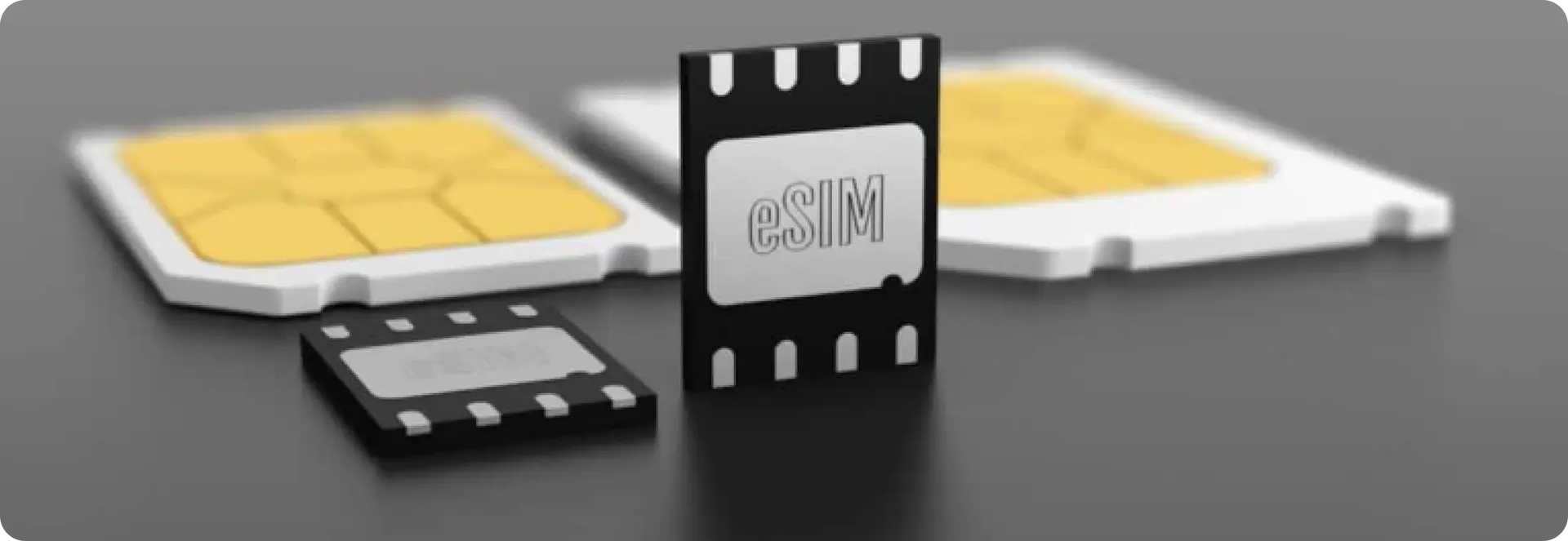sim-du-lich